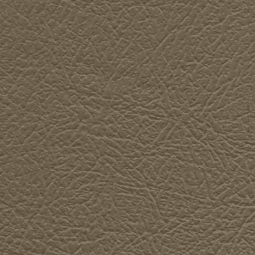 Belina C-4104