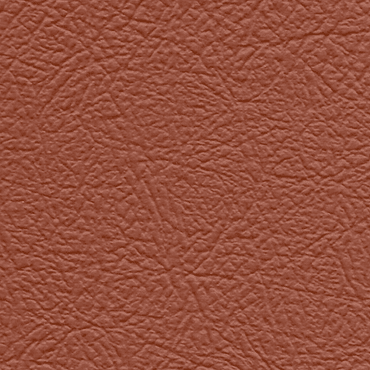 Belina C-4055