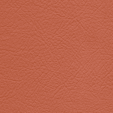 Belina C-4101