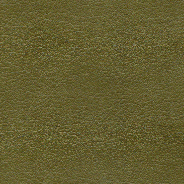 C-2008
