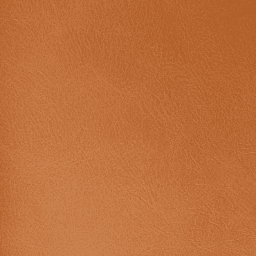 Bostonia Minimalist NB-03