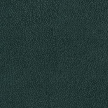 Nu-Grain C-5101