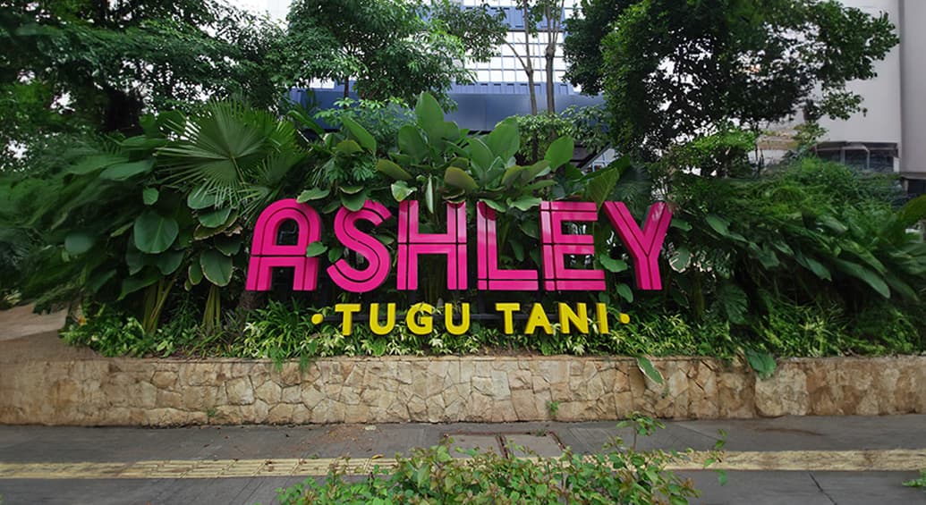 Ashley Tugu Tani