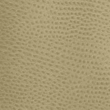 FRR-5115